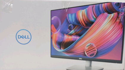 Dell 24 Inch Monitor