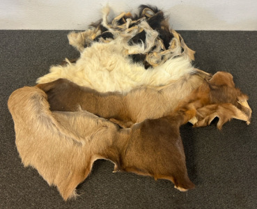 Animal Hides
