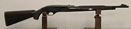 Remington Nylon .22LR Semi Automatic Rifle-- 2115042