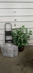 (1) Fake House Plant, (1) Bag of Seat Cushions, (1) Step Ladder