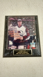 (1) Patrick Roy Colorado Avalanche 2001 NHL Trophy Plaque
