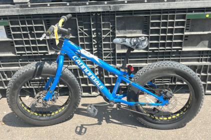 (1) 20&rdquo; Cannondale Fat Tire Bike (Blue)