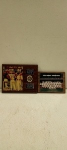 (1) Detroit Tigers 1984 World Champions Plaque 12x9 and (1) Mark McGwire Plaque 14.5x12