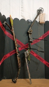 Bear Panda Bear Youth Compound Bow with Arrows and Martin Archery Compound Bow 42"