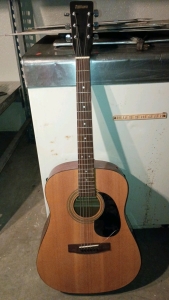 Chesbro Tanara SD2S Acoustic Guitar
