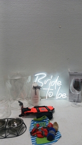 Bride to Be Sign - Giant Wine Glass - Party Pitcher & More