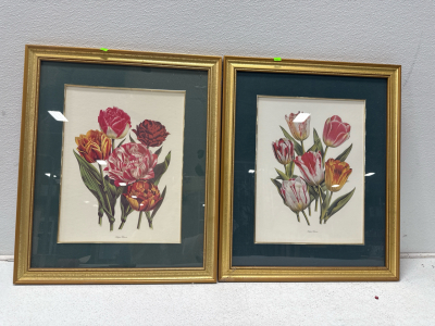 (2) Gold Framed Flower Pictures
