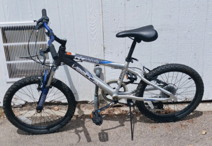 Vertical Nitrous Aluminum Youth Bike - 20 Inch Blue & Silver