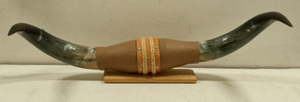 (1) Decorative Longhorn/Bull Horns