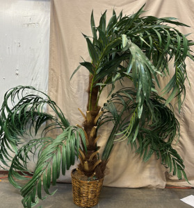 Large Decorative Potted Plant