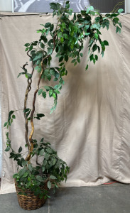 Large Decorative Potted Plant