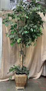 80&rdquo; Tall Large Decorative Potted Plant