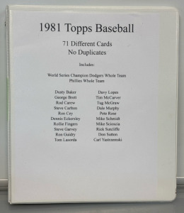 Variety Of (17) Different 1981 Topps Baseball Cards