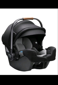 Nuna Pipa RX Infant Car Seat & Relx Base-Broken Arrow