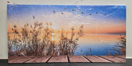 XL Size Canvas Print Wall Art - 60" x 30" / +$120 Value!