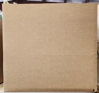 Mystery Amazon Box