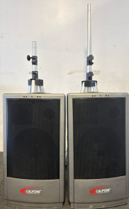 Califone Dj Speakers