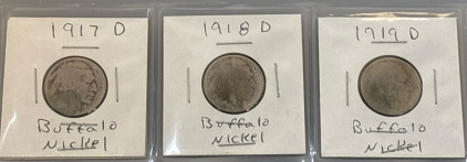 1917-1919 Buffalo Nickle Collectables
