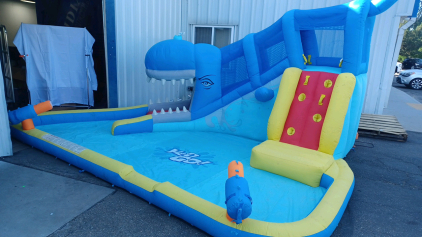 Water Wale Bouncy House.