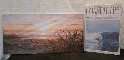 (2) Canvas Wall Art Prints, (1) Beach Landscape, 40"W x 20"T & (1) Surfing Themed Panel 16"W x 24"T<br/>