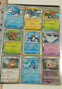 Huge Binder of 160+ Pokemon Cards With Tons of Holos and Rares