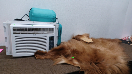 Haier air conditioner & A Bear Fur & More.