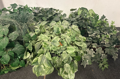 Faux Plants - Devil&rsquo;s Ivy, Heartleaf Philodendron, Nerve Plant, Arrowhead Plant, Air Plant, English Ivy All in Wicker Baskets.