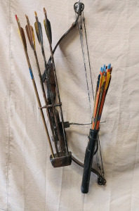 PSE Guide Youth Compound Bow Set And Arrows