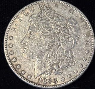 1883 Liberty Morgan Silver Dollar Coin, United States, E PLURIBUS UNUM