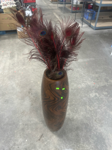 (1) Tall Vase with Peacock Feathers