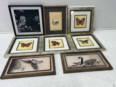 (4) butterfly pictures (2) bird photos (1) owl photo (1) monkey photoAssorted pictures