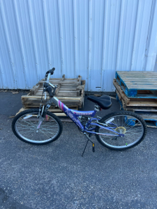 Purple 20&rdquo; Next tiara pro bike