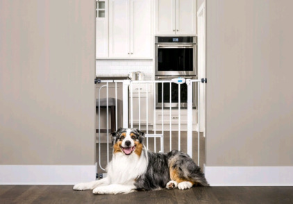 (2) Carlson Extra Wide Walk Through Pet Gates