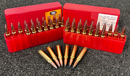 (40) Rounds Of 300 Savage Rifle Cartridges