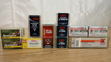 Ammo! 700rds! Mixed Lot Assorted .22 Ammo-.22WinMag- .22LR-Hollow Points, Subsonic, FMJ, VMax, Viper
