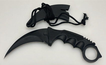 Karambit Knife, Black, Finger Ring Grip, 4" Blade, Sheath Included