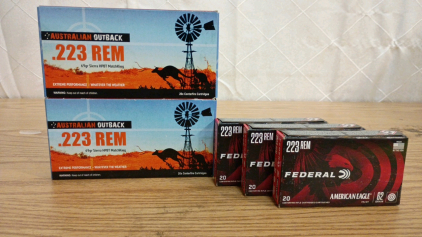 Ammo! 100rds .223Rem-40rds Australian Outback .223Rem 69gr Sierra HPBT Match King, and 60rds Federal .223Rem 62gr FMJ Ballistic Tip