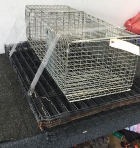 Animal Cage, Animal Trap