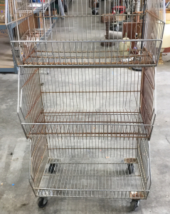 Wire Shelves