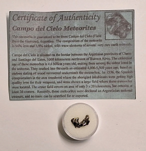 (1) 1.70-Gram Meteorite Fragment W/ROA