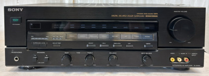 Sony Digital Delayed Dolby Surround