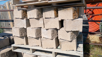 Whole Pallet ~48 Cinder Blocks