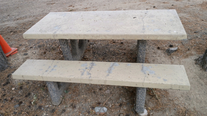 Concrete Picnic Table 70x59x31