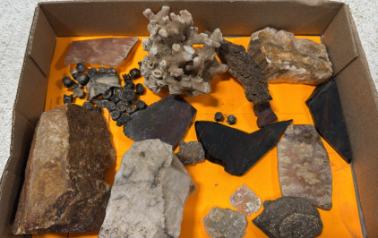Assorted Corrals ,Rocks and Stones ..