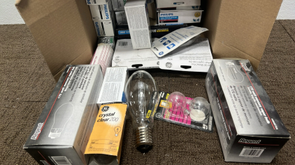 Assorted Light Bulbs