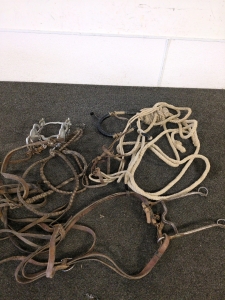 Horse Tackle and reins