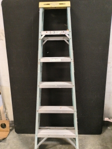 Werner Ladder 3ft 10 Inches