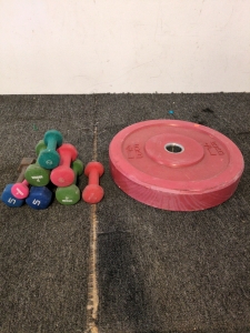 45 BumperPlate and Variety of Hand weights