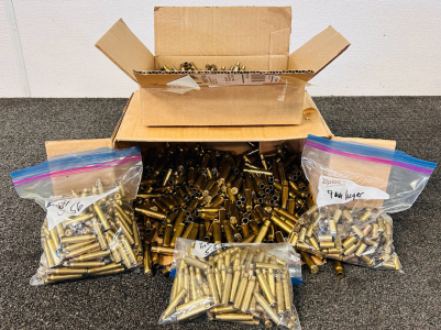 Mixed Brass Casings: 5.56, 9mm, .223, and 308 Win