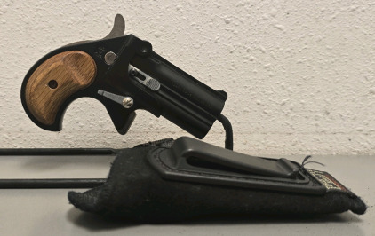 Cobra Enterprises CB 38 Derringer, .38 Special, Serial CT023831